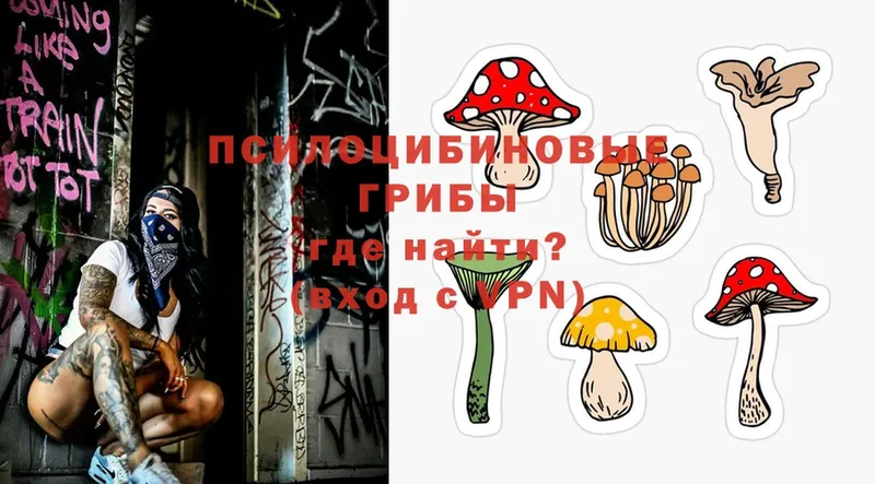 Галлюциногенные грибы Psilocybe  как найти закладки  Старая Купавна 